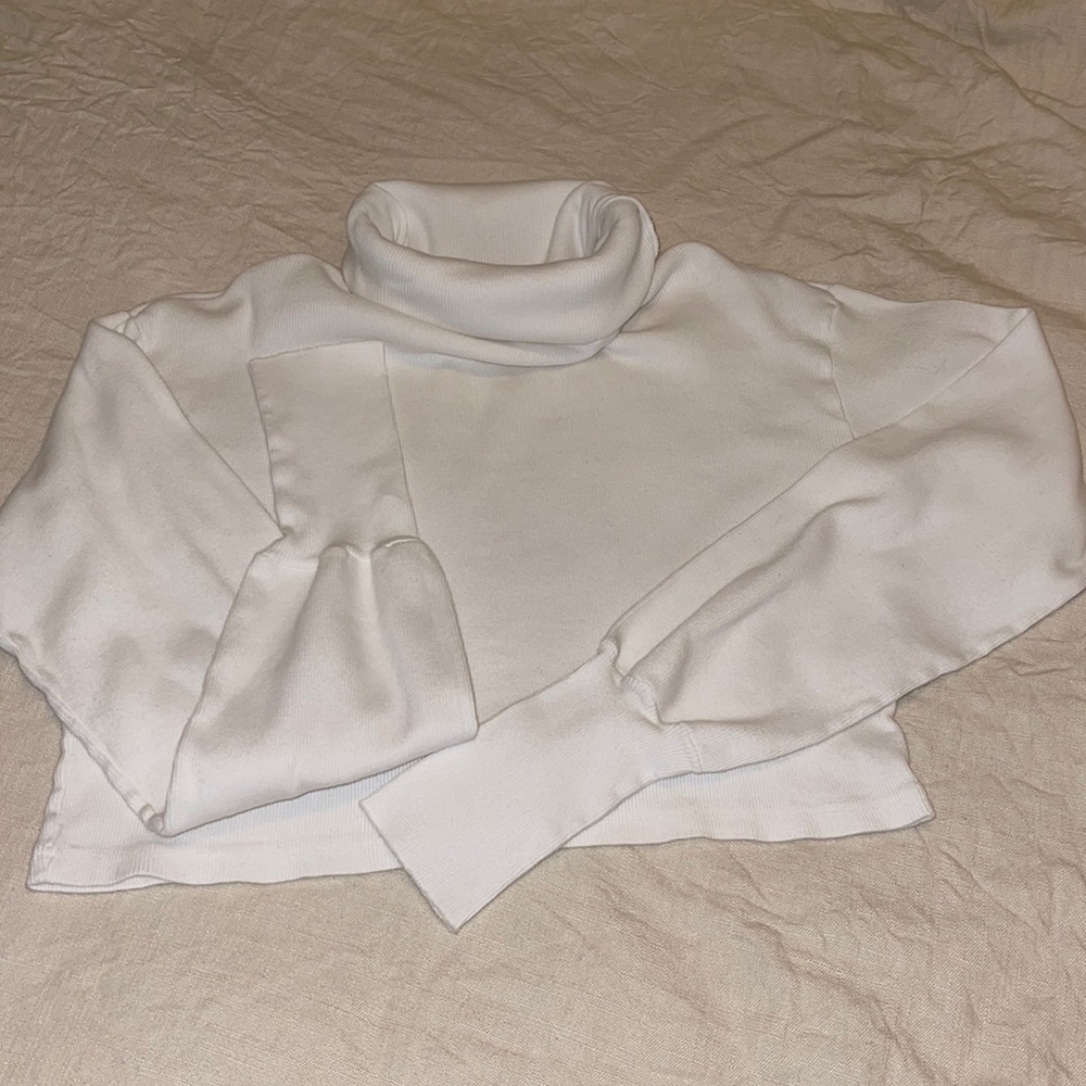 Brandy Melville Angela Turtleneck Top